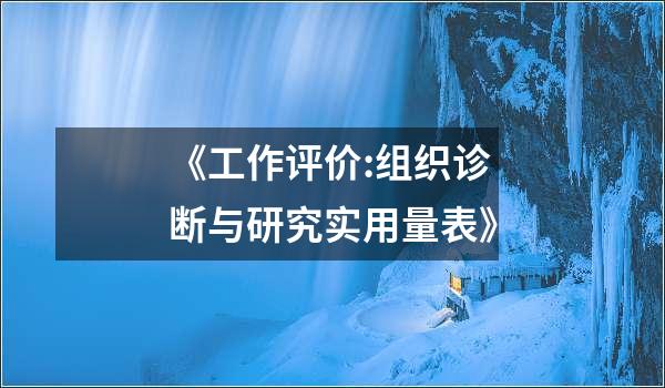 《工作评价:组织诊断与研究实用量表》