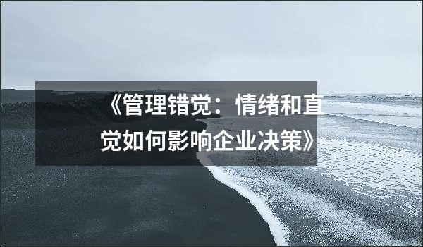 《管理错觉：情绪和直觉如何影响企业决策》