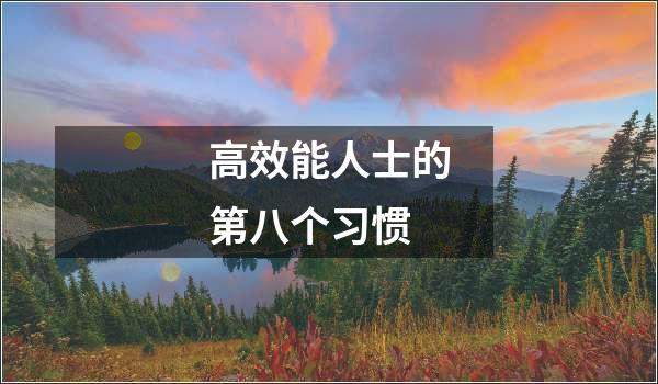 高效能人士的第八个习惯封面
